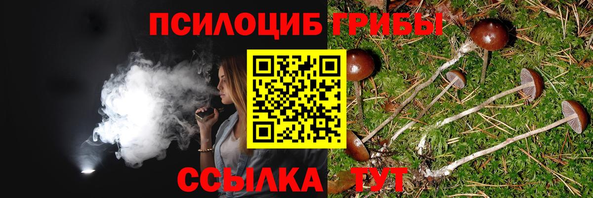 Галлюциногенные грибы мицелий Полевской