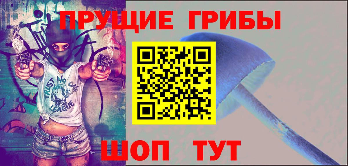 Псилоцибиновые грибы мицелий  Вход с VPN  Полевской  Псилоцибиновые грибы Psilocybe 